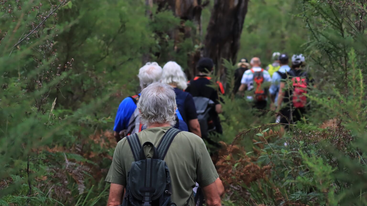 Expedition Cruise Tasmania's Wilderness Coast | Coral Expeditions