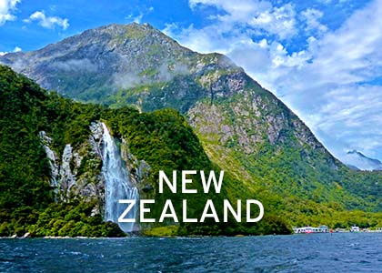 New Zealand Coral Expeditions Normal