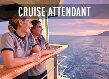Cruise Attendant