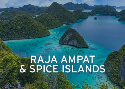 Raja Ampat & Spice Islands Coral Expeditions Hover