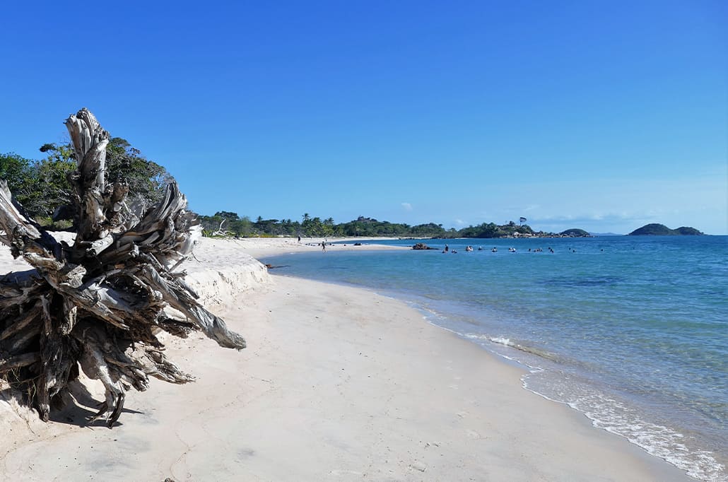 Best Day on Expedition | Badu Island | Coral Expeditions