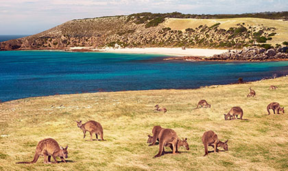 Stokes Bay Kangaroo Island