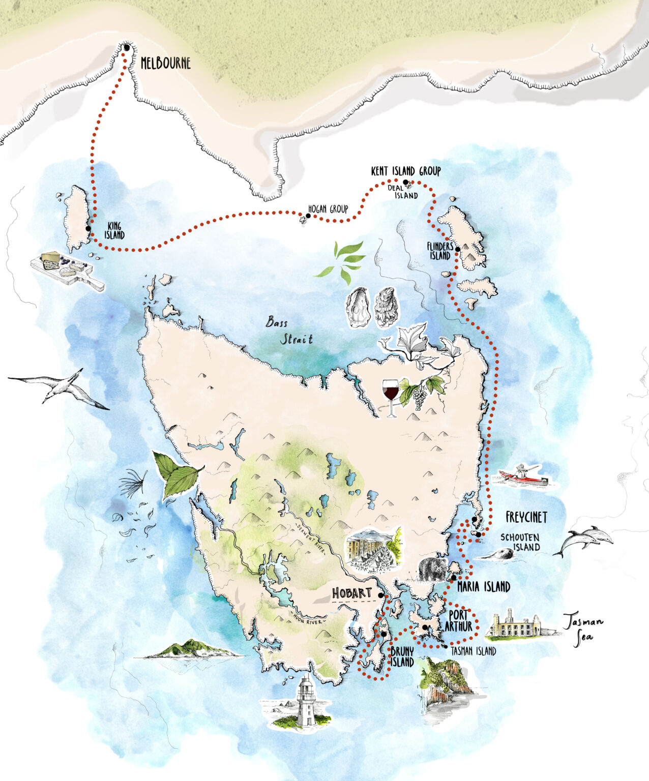 Tasmania S Bass Strait Islands Hobart Melbourne 13 Nights Coral Expeditions