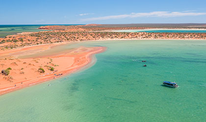 Shark Bay, Western Australia