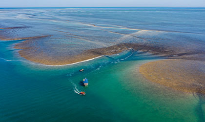 Montgomery-Reef-The-Kimberley-Western-Australia