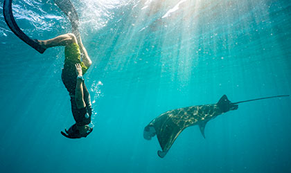 Ningaloo-Reef-Manta-Ray-Snorkel-th