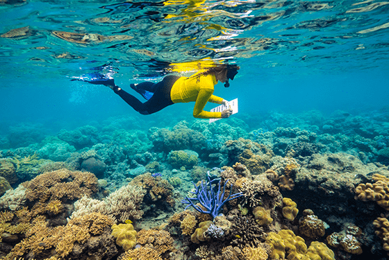 Citizen-Science-on-the-Great-Barrier-Reef-Coral-Expeditions