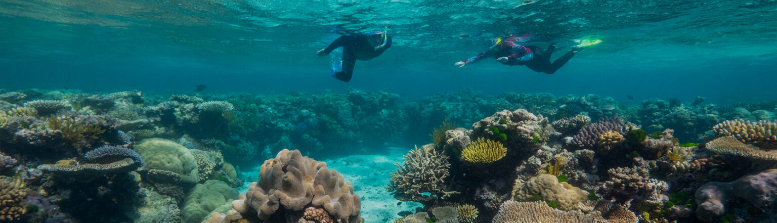 Great Barrier Reef Cruise From Cairns | Coral Expeditions