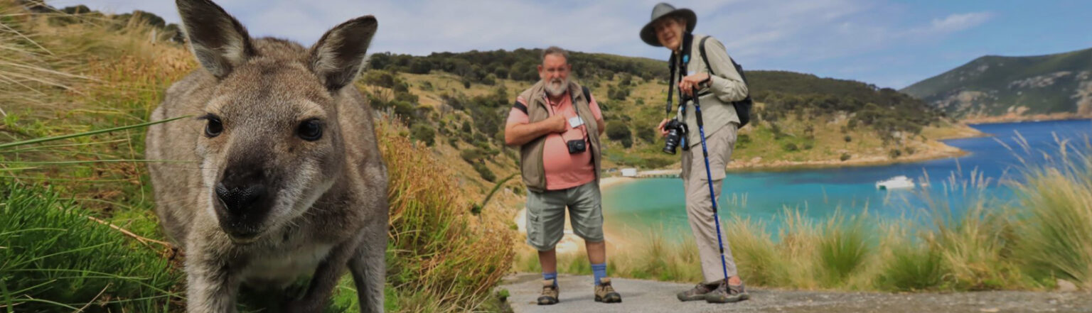 Expedition Cruise Tasmania's Wilderness Coast | Coral Expeditions